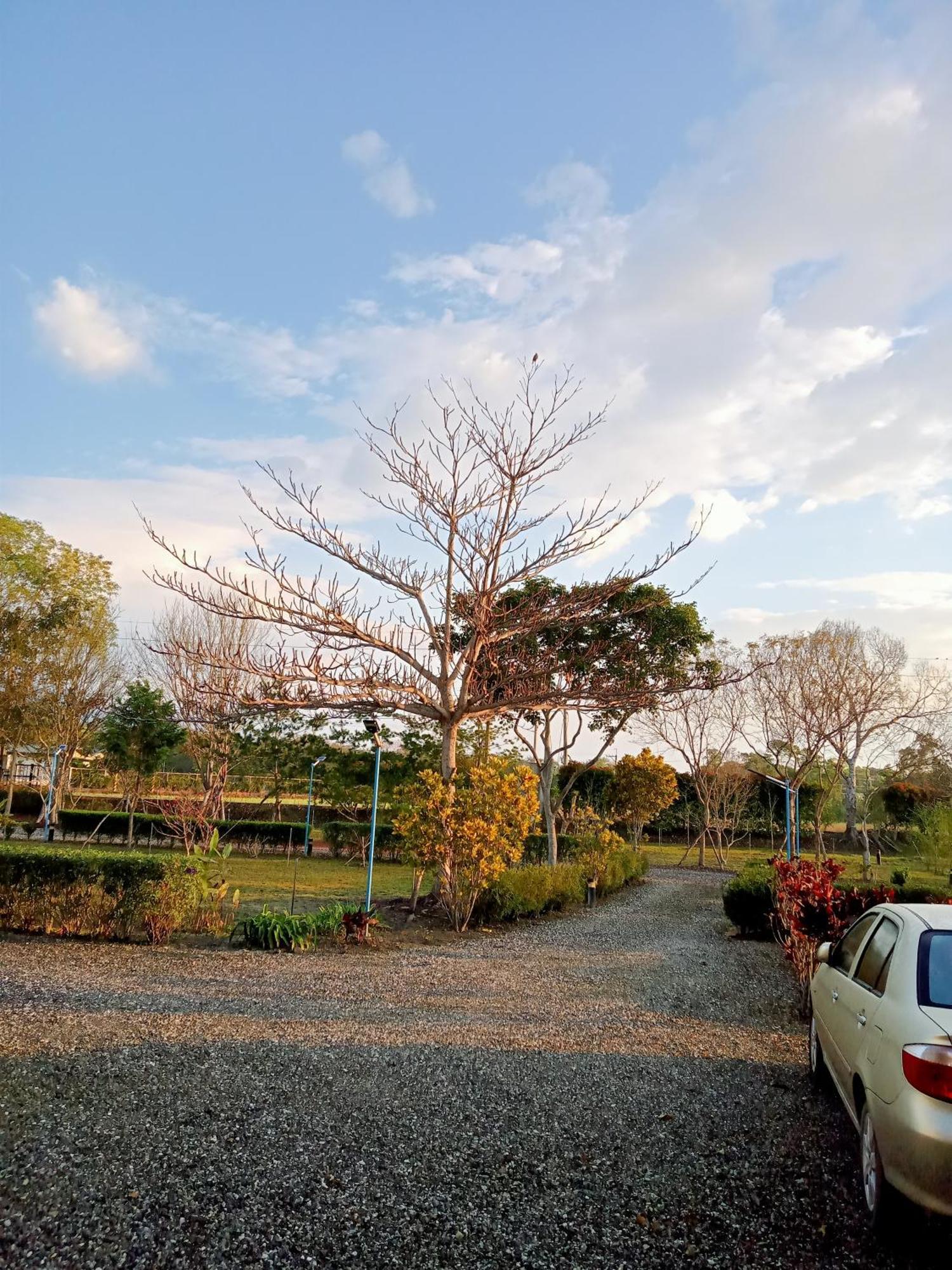 Gasthaus Maple Feeling Vacation Farm Guangfu Exterior foto